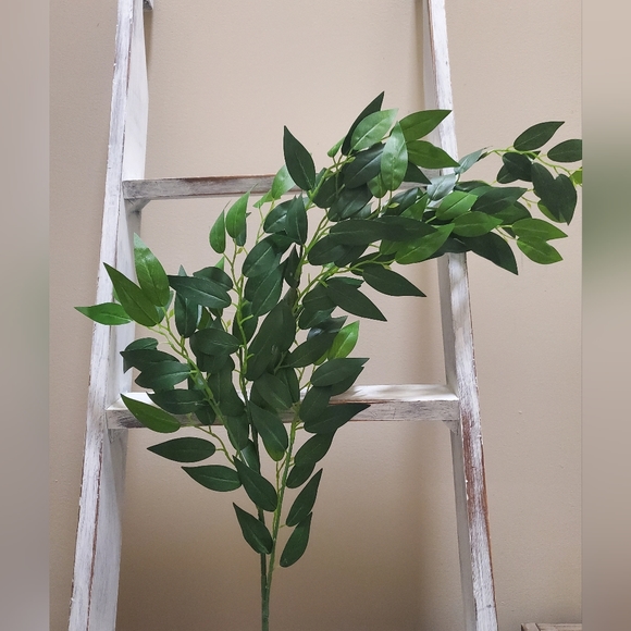 Ling's Moments Accents Lings Moments Italian Ruscus Poshmark